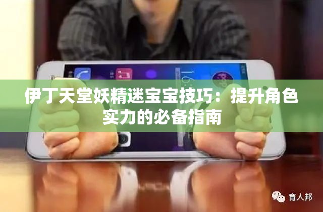 伊丁天堂妖精迷宝宝技巧：提升角色实力的必备指南