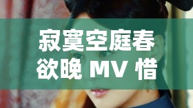 寂寞空庭春欲晚 MV 惜春词：春景寂寥诉深情