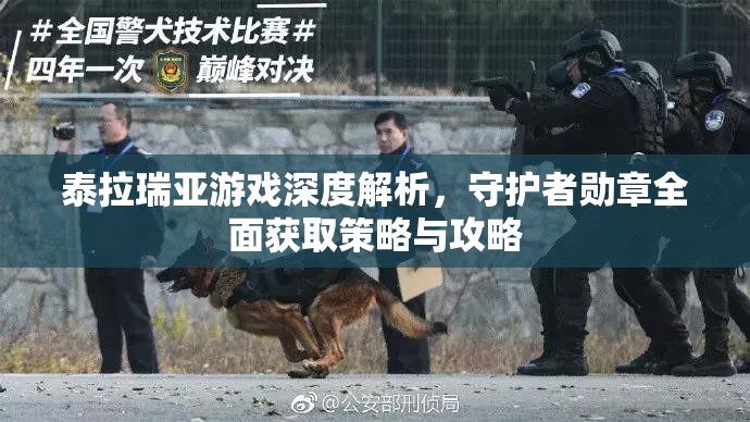 泰拉瑞亚游戏深度解析，守护者勋章全面获取策略与攻略