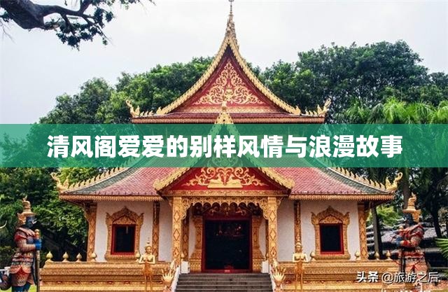 清风阁爱爱的别样风情与浪漫故事