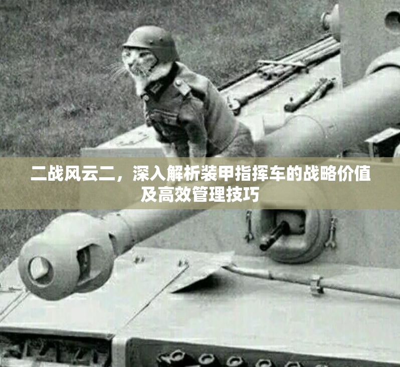 二战风云二，深入解析装甲指挥车的战略价值及高效管理技巧