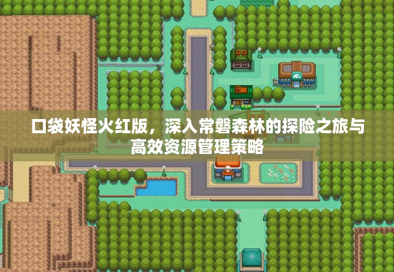 口袋妖怪火红版，深入常磐森林的探险之旅与高效资源管理策略