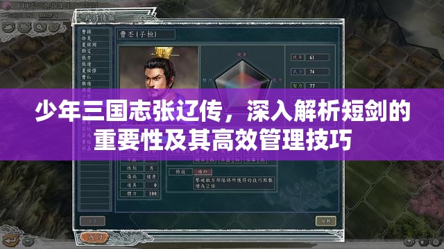 少年三国志张辽传，深入解析短剑的重要性及其高效管理技巧