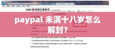 paypal 未满十八岁怎么解封？