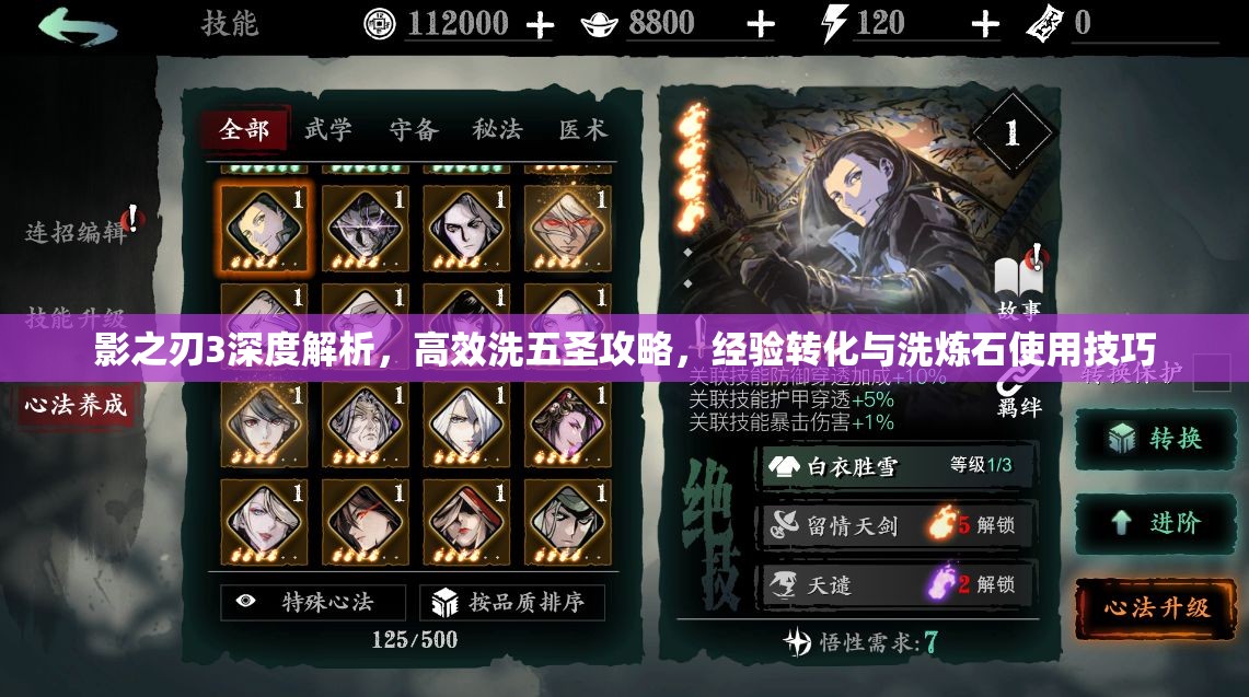 影之刃3深度解析，高效洗五圣攻略，经验转化与洗炼石使用技巧