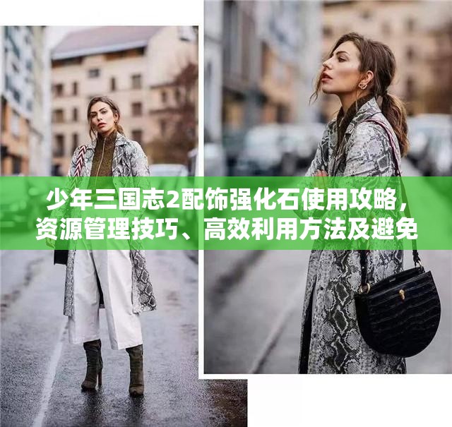 少年三国志2配饰强化石使用攻略，资源管理技巧、高效利用方法及避免浪费策略