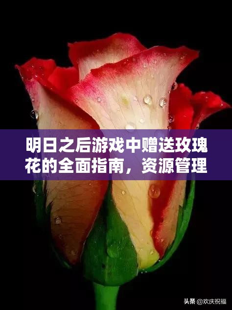 明日之后游戏中赠送玫瑰花的全面指南，资源管理技巧、避免浪费策略及价值最大化方法