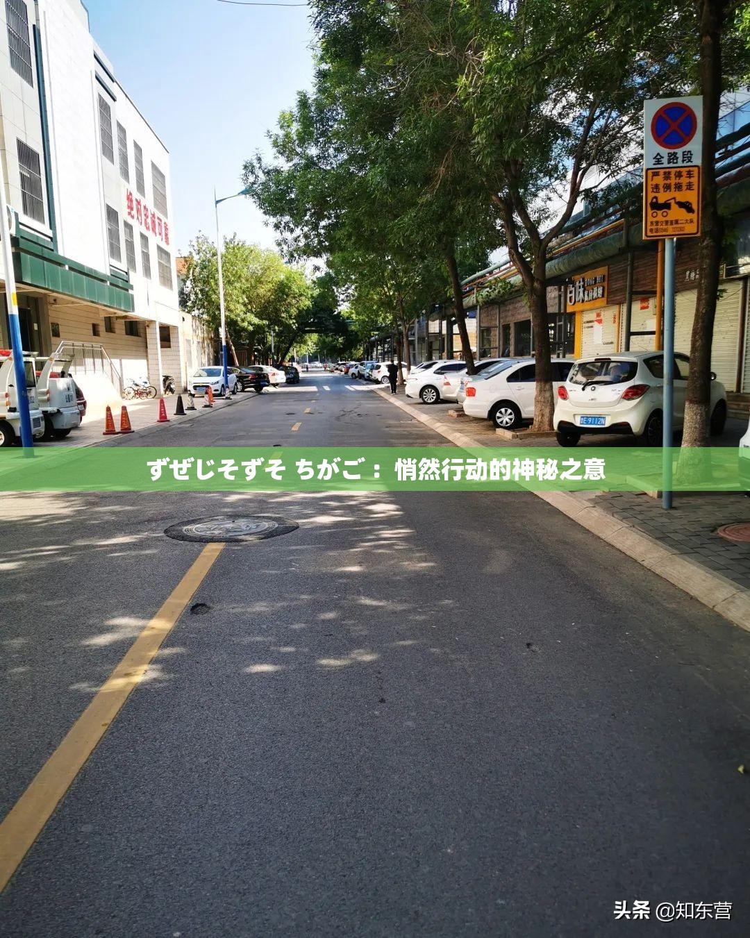 ずぜじそずそ ちがご ：悄然行动的神秘之意