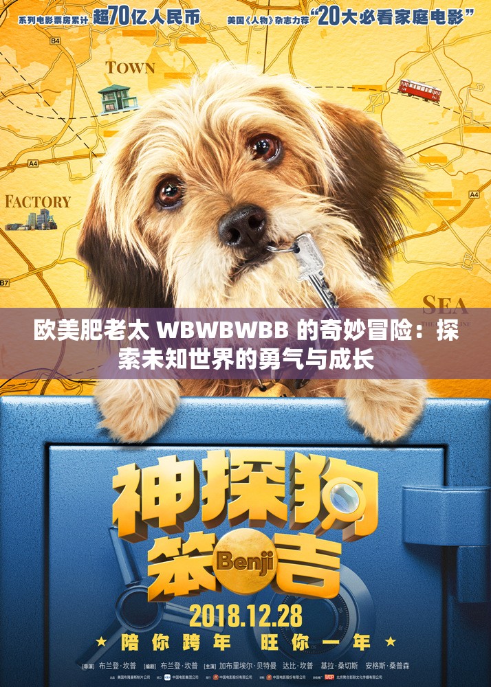 欧美肥老太 WBWBWBB 的奇妙冒险：探索未知世界的勇气与成长
