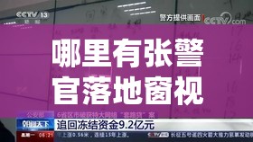 哪里有张警官落地窗视频：关于该事件的深入探讨与分析