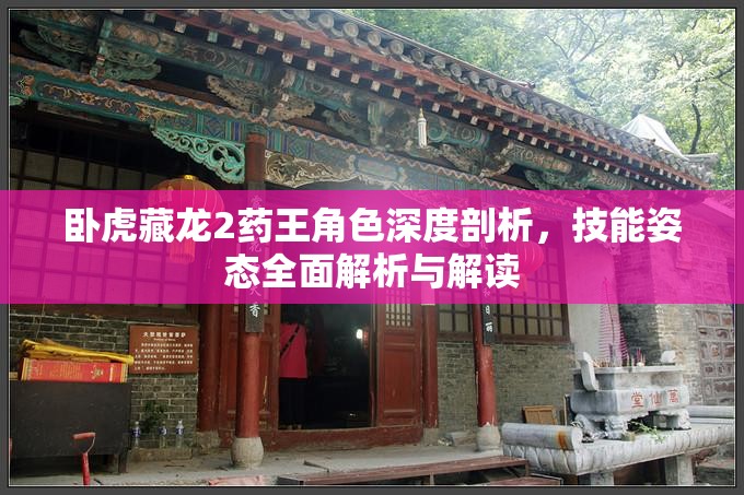 卧虎藏龙2药王角色深度剖析，技能姿态全面解析与解读