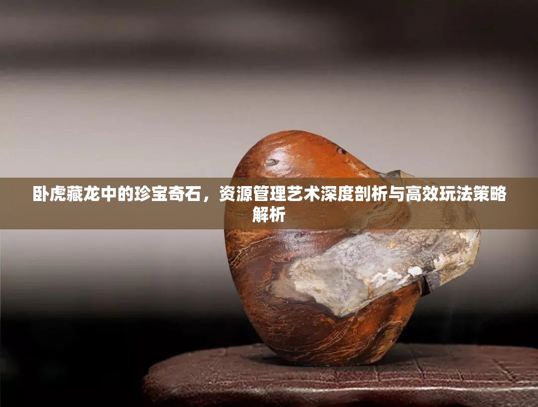 卧虎藏龙中的珍宝奇石，资源管理艺术深度剖析与高效玩法策略解析