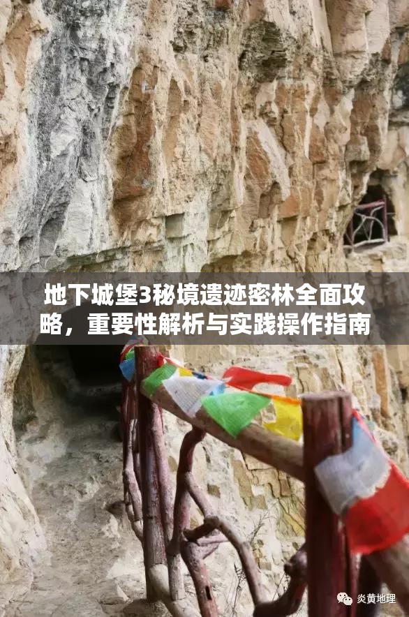 地下城堡3秘境遗迹密林全面攻略，重要性解析与实践操作指南