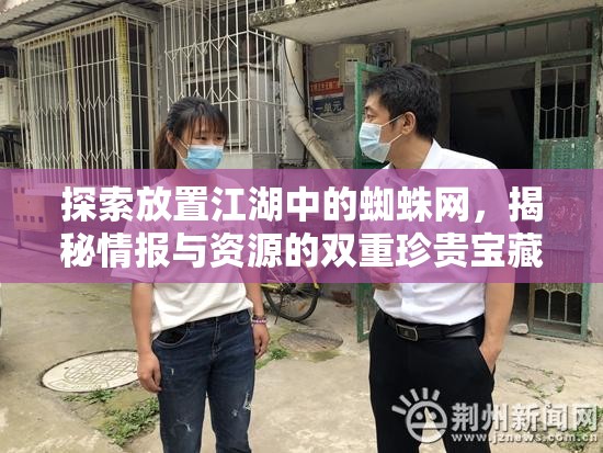 探索放置江湖中的蜘蛛网，揭秘情报与资源的双重珍贵宝藏