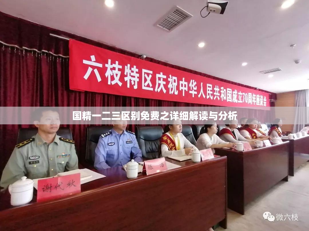 国精一二三区别免费之详细解读与分析