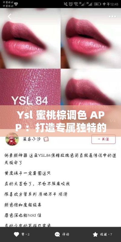 Ysl 蜜桃棕调色 APP ：打造专属独特的色彩世界