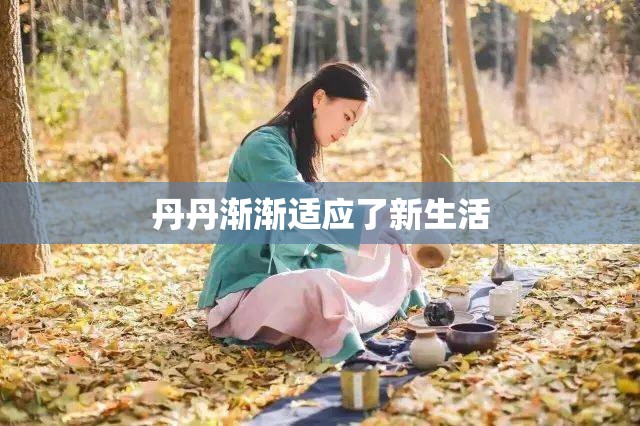 丹丹渐渐适应了新生活