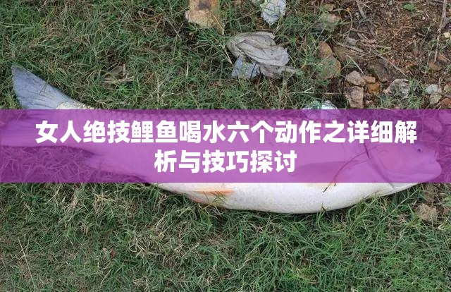 女人绝技鲤鱼喝水六个动作之详细解析与技巧探讨