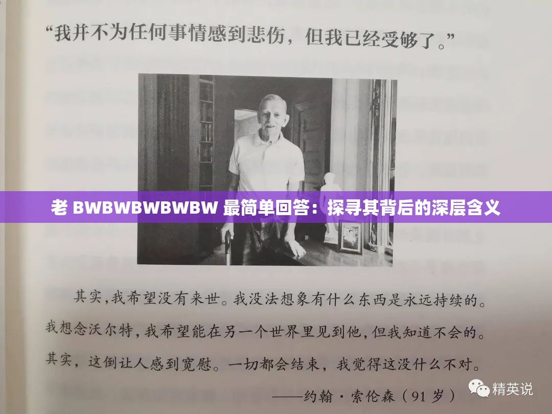 老 BWBWBWBWBW 最简单回答：探寻其背后的深层含义