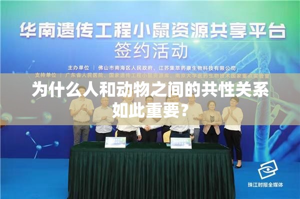 为什么人和动物之间的共性关系如此重要？
