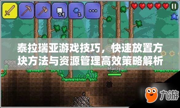 泰拉瑞亚游戏技巧，快速放置方块方法与资源管理高效策略解析