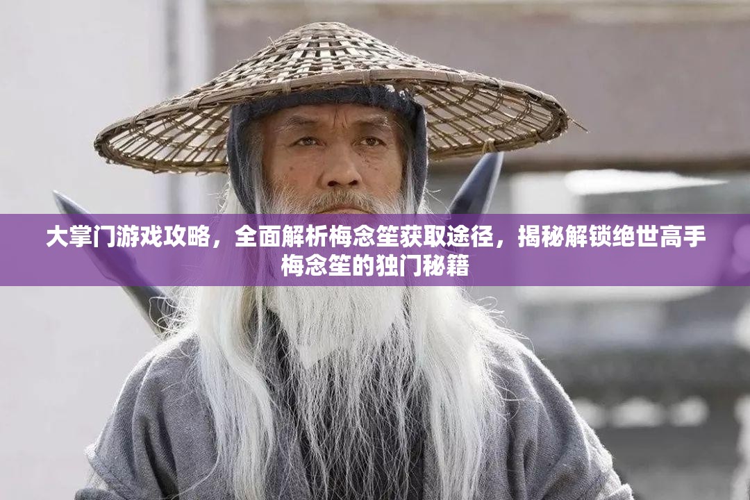 大掌门游戏攻略，全面解析梅念笙获取途径，揭秘解锁绝世高手梅念笙的独门秘籍