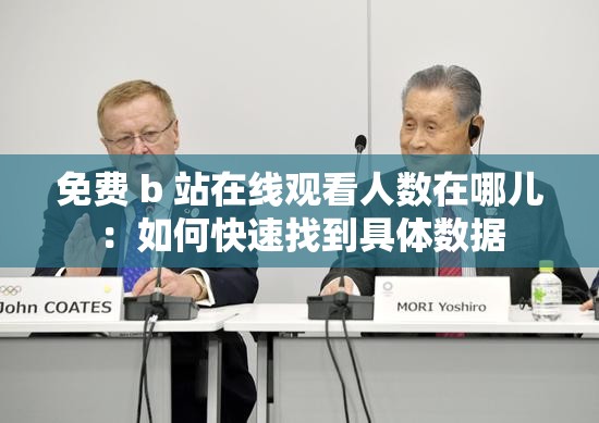 免费 b 站在线观看人数在哪儿：如何快速找到具体数据