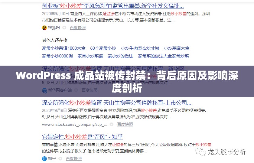 WordPress 成品站被传封禁：背后原因及影响深度剖析