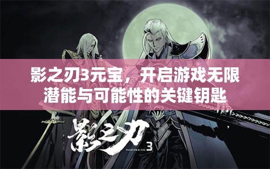 影之刃3元宝，开启游戏无限潜能与可能性的关键钥匙
