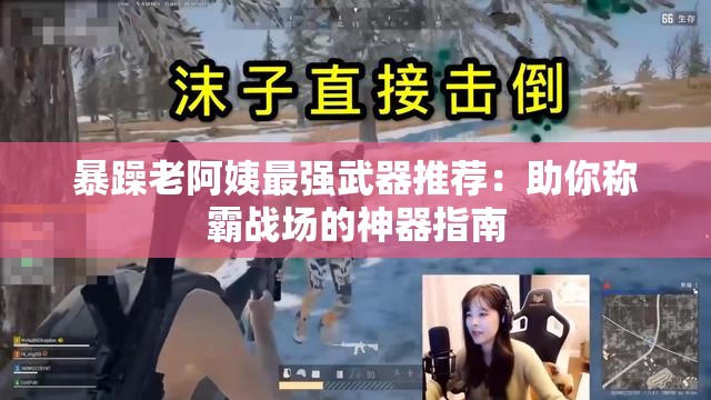 暴躁老阿姨最强武器推荐：助你称霸战场的神器指南