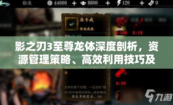 影之刃3至尊龙体深度剖析，资源管理策略、高效利用技巧及避免浪费指南