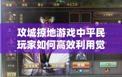 攻城掠地游戏中平民玩家如何高效利用觉醒酒，资源管理策略与艺术