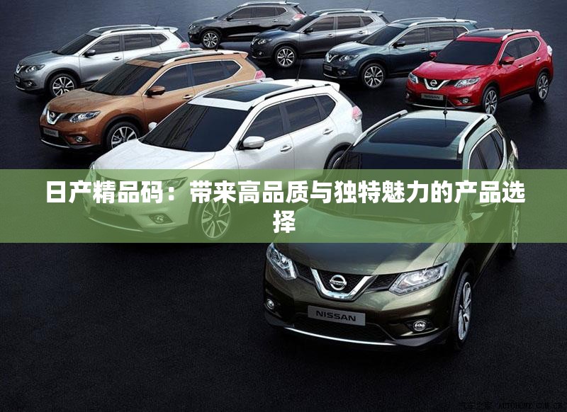 日产精品码：带来高品质与独特魅力的产品选择
