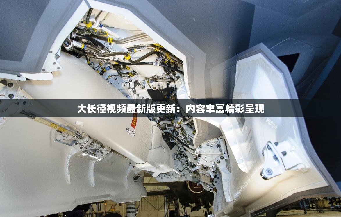 大长径视频最新版更新：内容丰富精彩呈现