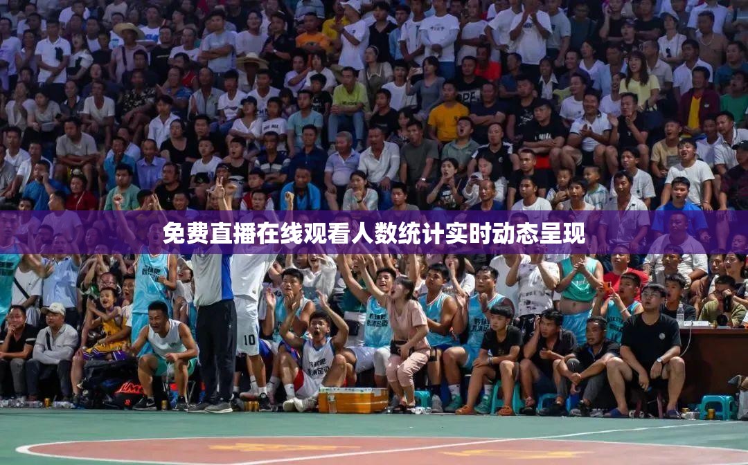 免费直播在线观看人数统计实时动态呈现