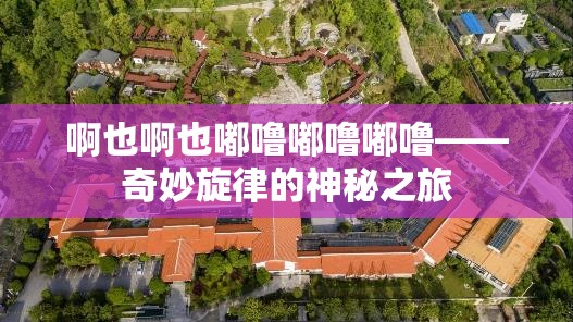 啊也啊也嘟噜嘟噜嘟噜——奇妙旋律的神秘之旅