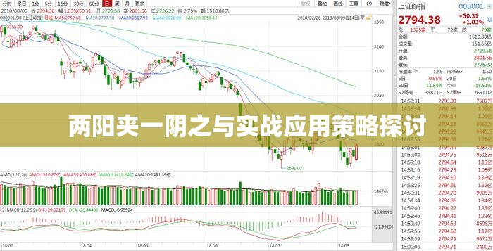 两阳夹一阴之与实战应用策略探讨