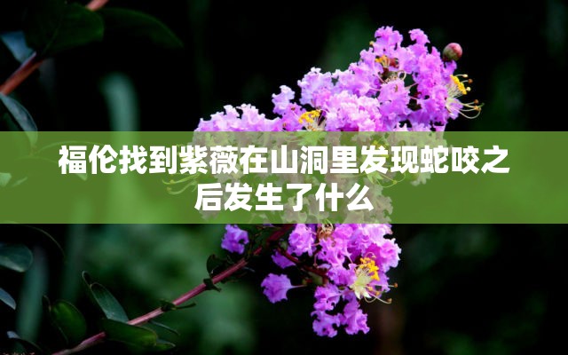 福伦找到紫薇在山洞里发现蛇咬之后发生了什么