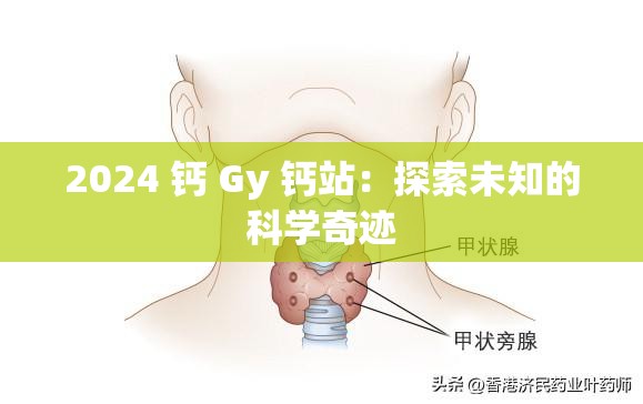 2024 钙 Gy 钙站：探索未知的科学奇迹