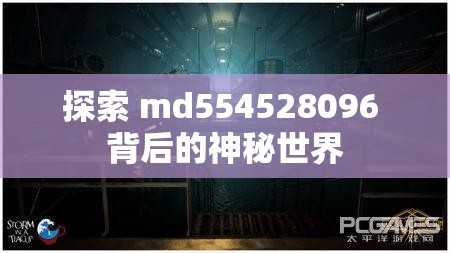 探索 md554528096 背后的神秘世界