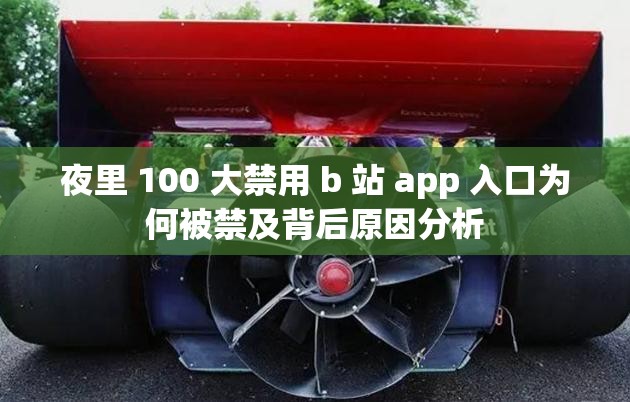 夜里 100 大禁用 b 站 app 入口为何被禁及背后原因分析