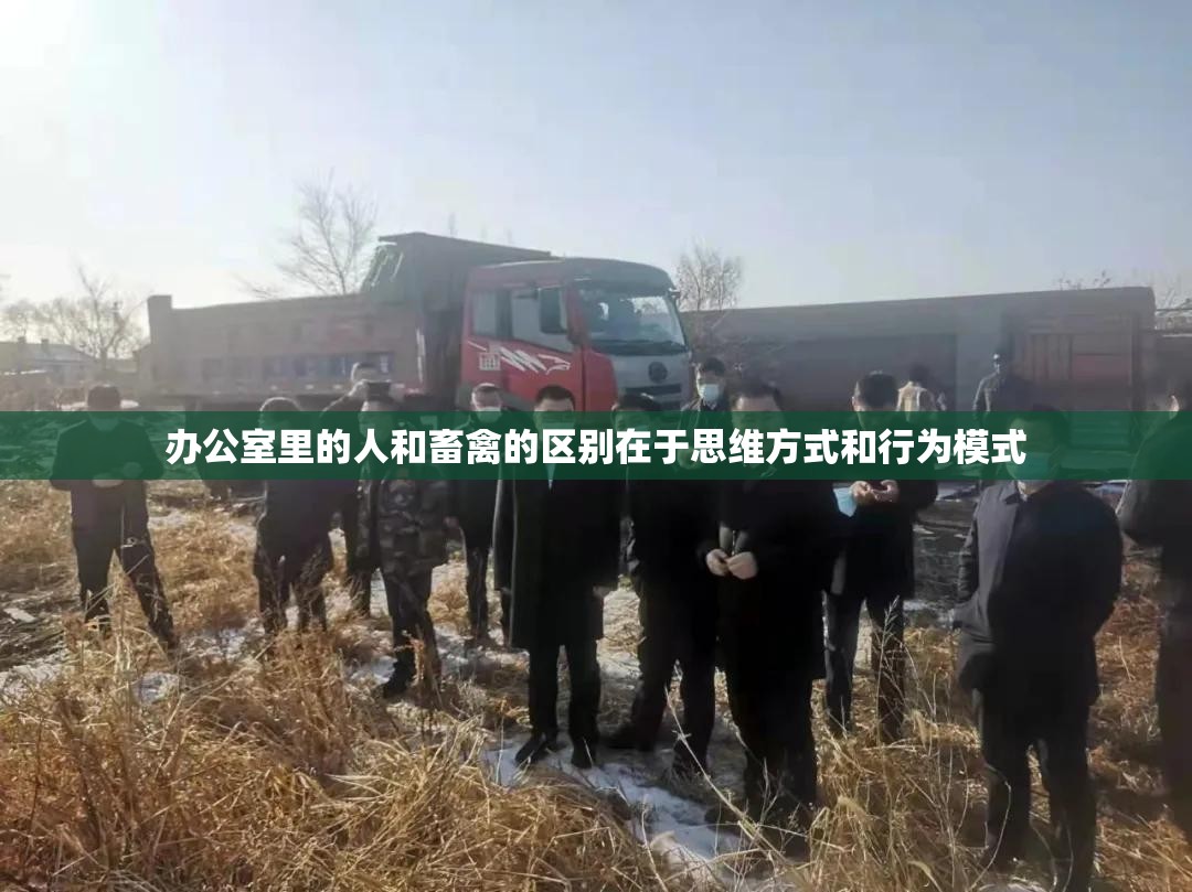 办公室里的人和畜禽的区别在于思维方式和行为模式