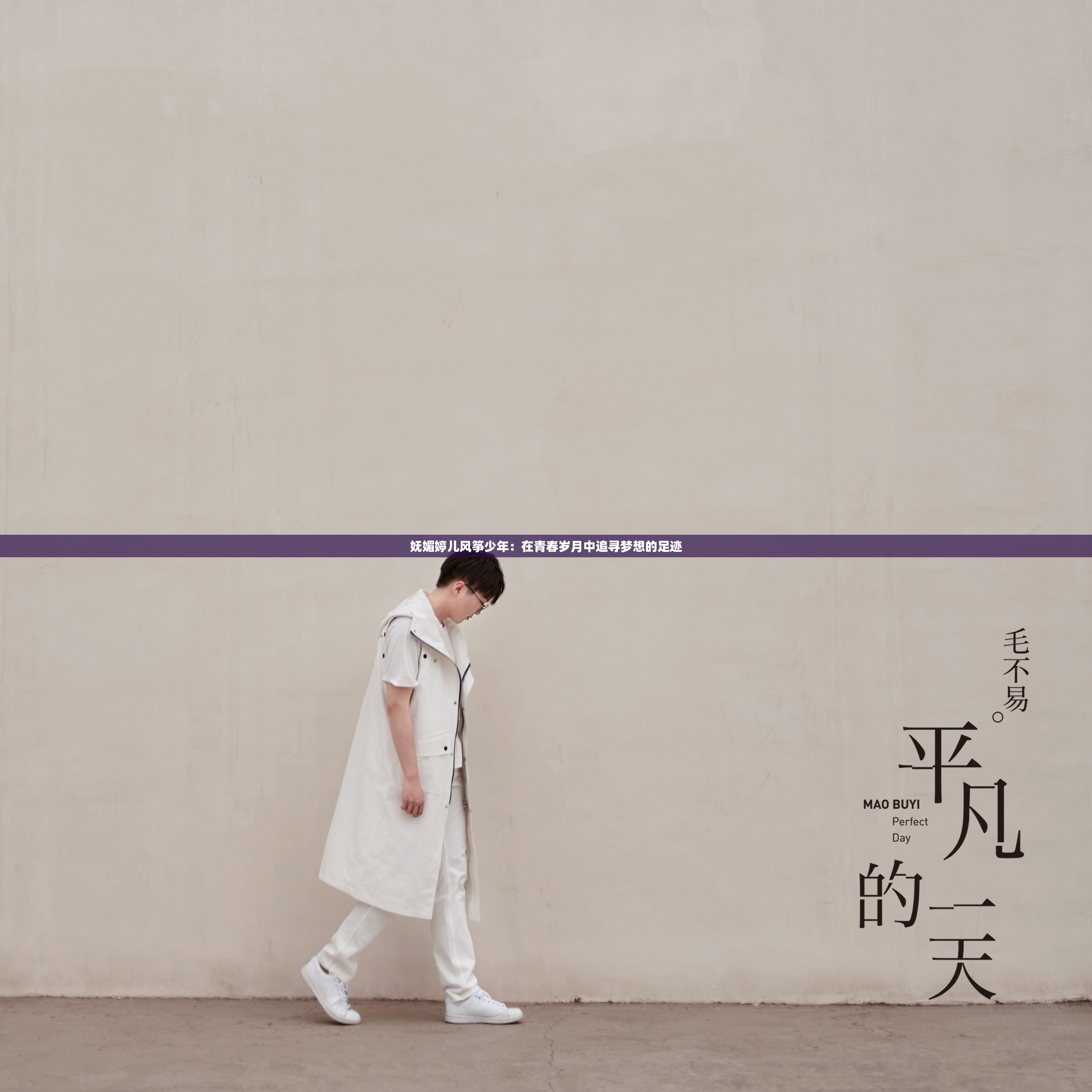 妩媚婷儿风筝少年：在青春岁月中追寻梦想的足迹