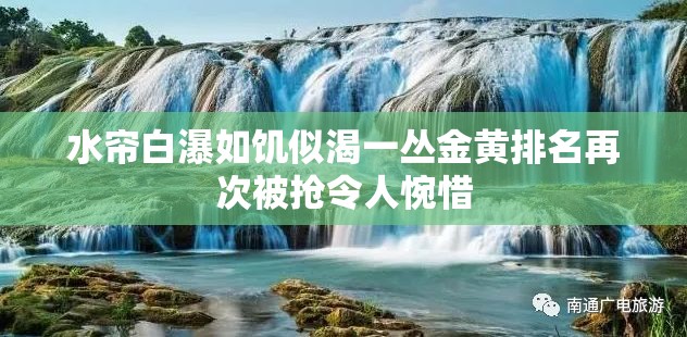 水帘白瀑如饥似渴一丛金黄排名再次被抢令人惋惜