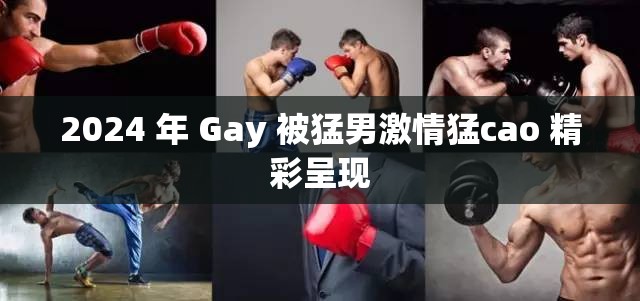 2024 年 Gay 被猛男激情猛cao 精彩呈现