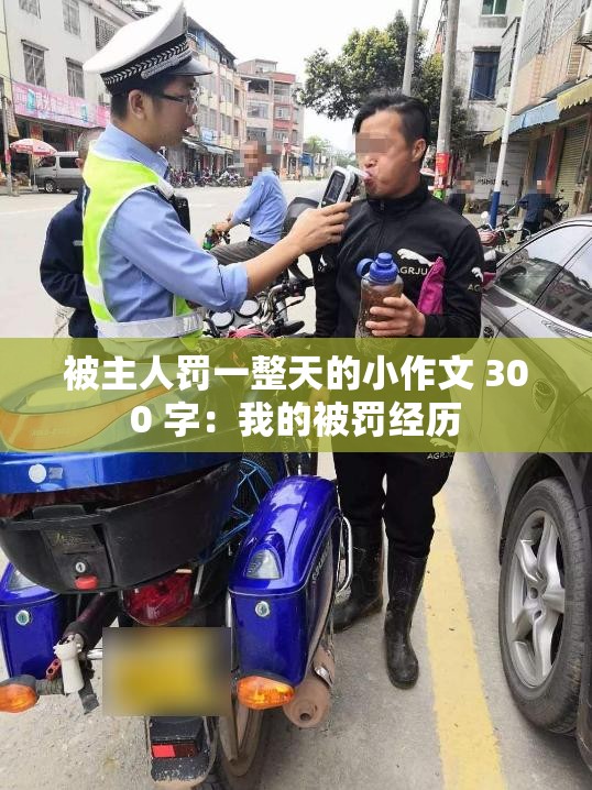 被主人罚一整天的小作文 300 字：我的被罚经历