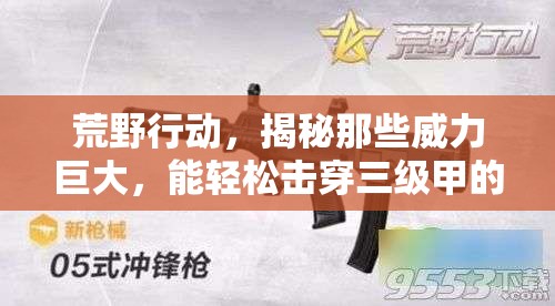 荒野行动，揭秘那些威力巨大，能轻松击穿三级甲的枪械