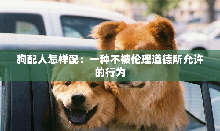 狗配人怎样配：一种不被伦理道德所允许的行为