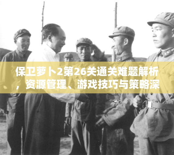 保卫萝卜2第26关通关难题解析，资源管理、游戏技巧与策略深度分析