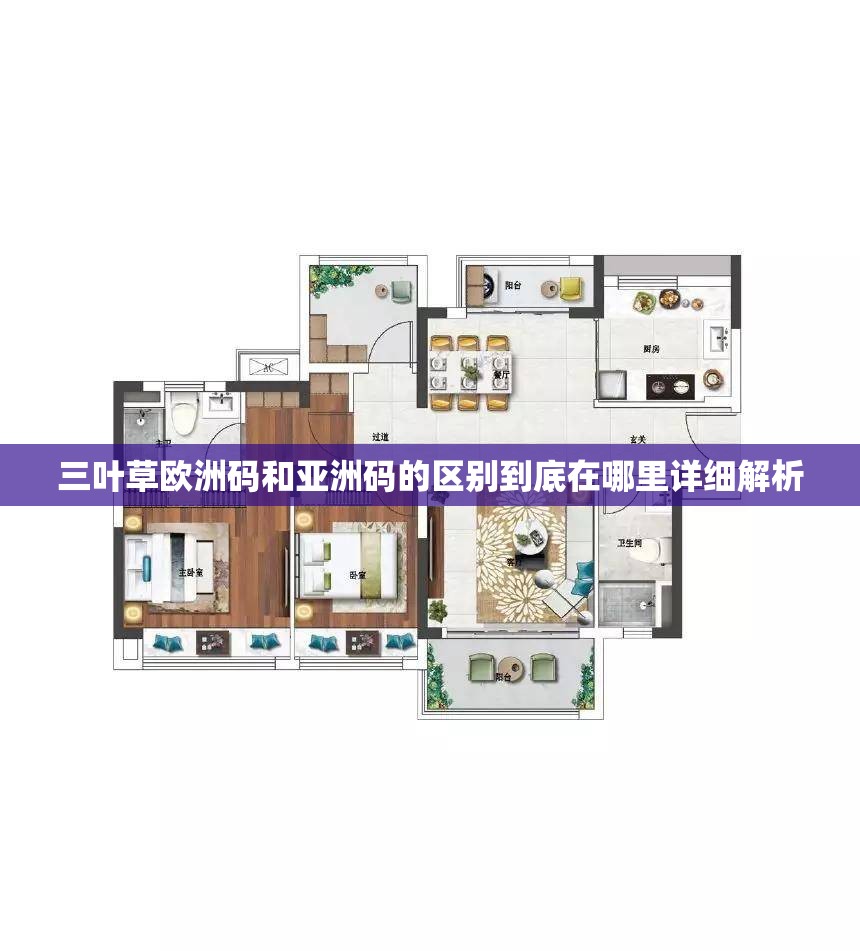 三叶草欧洲码和亚洲码的区别到底在哪里详细解析